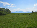 Blick von Seebruck zu den Chiemgauer Alpen