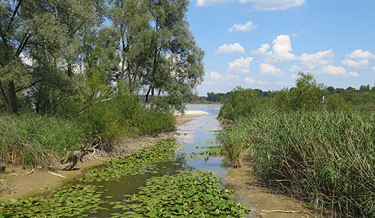 Rund um den Chiemsee Rund um den Chiemsee