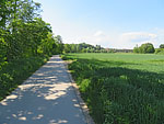 ...und nähern uns über den Donauradweg...