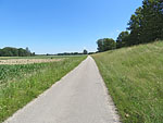 ...in den Uferweg ein