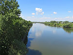 ...auch die Alte Donau