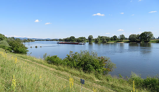Donauradweg 11