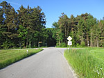 ...und folgen vor einem Waldrand der Vorfahrtsstraße nach rechts