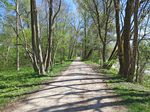 Nun folgen wir dem Isarradweg