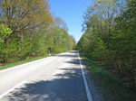 Von Schnaupping folgen wir der Landstraße durch den Wald...