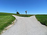 ...und halten uns an der folgenden Weggabelung links