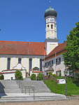 Grafing