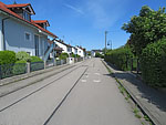 Über die Rosenstraße...