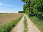 ...am Waldrand links in einen Karrenweg