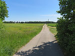 ...die wir rechtshaltend über einen Feldweg verlassen