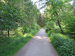 ...und verlassen diesen und Neukeferloh über einen Waldweg