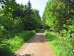 Der Fostweg...