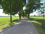 ...bringt uns zu einer Teerstraße
