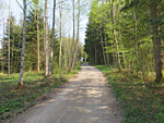 ...ein Waldstück