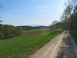 Wir verlassen den Wald beim Weiler Grafenanger...