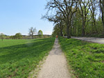 Zu Beginn folgen wir der Landstraße über den Radweg