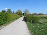 Auf der Römerstraße in Seebruck