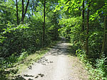 ...und folgen dem Lauf der Iller