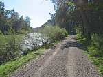 ...radeln wir durch den Auwald...