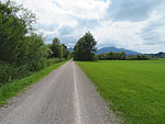 Der Weg führt uns zurück zu den Illerauen