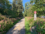 ...und biegen dann in einen Radweg ein, ...