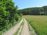 Bei Au im Wald biegen wir in einen Karrenweg ein...