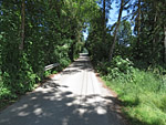 ...und durch ein Waldstück