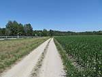 ...die Landstraße Richtung Mühldorf
