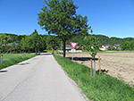 Wieder geht es vom Ufer weg...