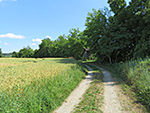 Ein Karrenweg...