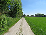 Über einen Karrenweg...