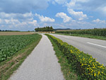 ...und fahren über den Radweg weiter...