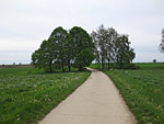 ...folgen wir einem Feldweg...