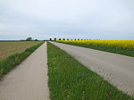 Über einen Radweg folgen wir einer Landstraße...