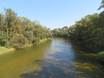 Blick von der Kolomanbrücke auf die Isar
