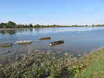 Wir erreichen den Stausee Dingolfing...