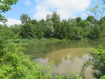 Die Isar bei Mamming