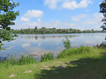 Immer wieder gibt der Auwald den Blick auf die Isar frei
