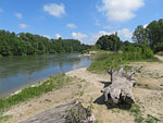 Renaturierter Flussabschnitt bei Landau