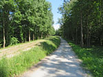 Von der Waldschänke...