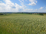 Dabei genießen wir schöne und weite Ausblicke