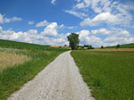 ...und folgen einen Feldweg ostwärts