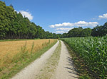 Über einen Karrenweg...