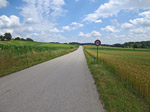 Im sanften Bergab...