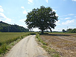 ...und biegen in einen Feldweg ein