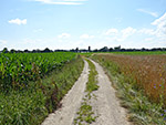 Von Tünzhausen erreichen wir über einen Feldweg...