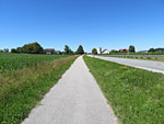 Weiter gehts entlang der Landstraße...