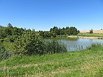 Weiher bei Rohr