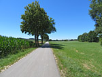 ...und folgen einem weiteren Teerweg...