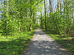 ...den Wald am Tiergarten von Straubing